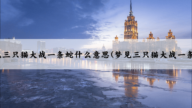 梦见三只猫大战一条蛇什么意思(梦见三只猫大战一条蛇)