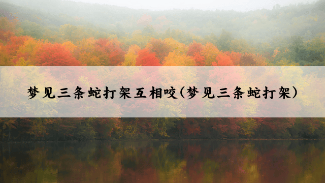 梦见三条蛇打架互相咬(梦见三条蛇打架)