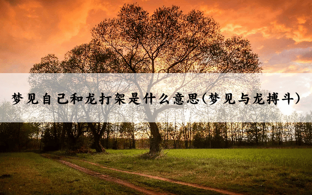 梦见自己和龙打架是什么意思(梦见与龙搏斗)