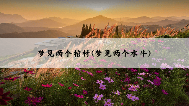 梦见两个棺材(梦见两个水牛)