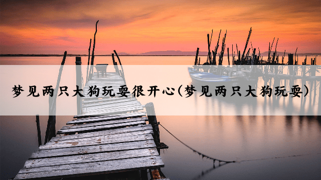 梦见两只大狗玩耍很开心(梦见两只大狗玩耍)