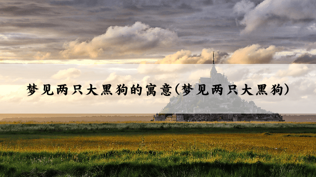 梦见两只大黑狗的寓意(梦见两只大黑狗)