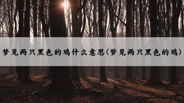 梦见两只黑色的鸡什么意思(梦见两只黑色的鸡)