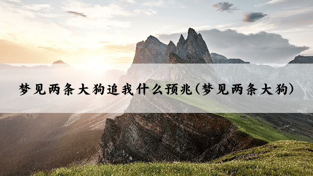 梦见两条大狗追我什么预兆(梦见两条大狗)