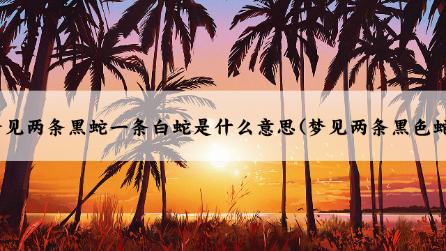 梦见两条黑蛇一条白蛇是什么意思(梦见两条黑色蛇)