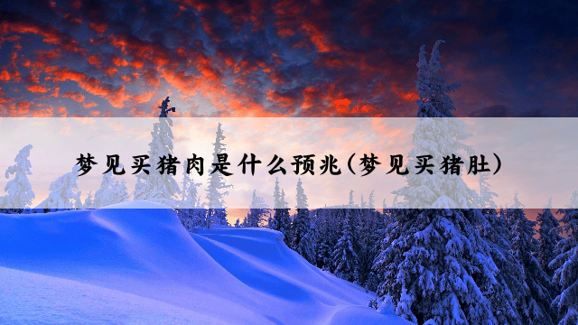 梦见买猪肉是什么预兆(梦见买猪肚)
