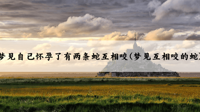 梦见自己怀孕了有两条蛇互相咬(梦见互相咬的蛇)