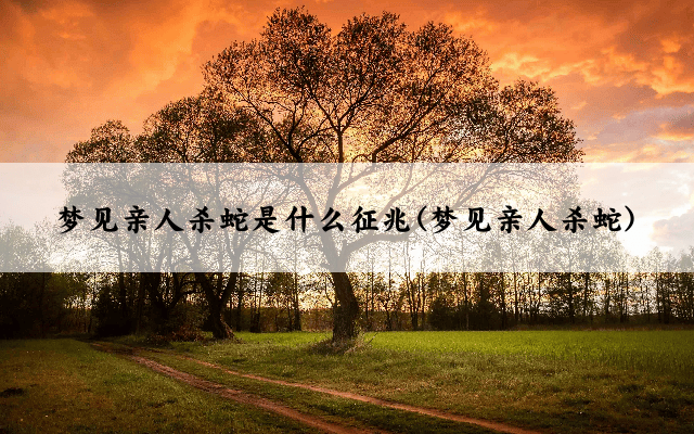 梦见亲人杀蛇是什么征兆(梦见亲人杀蛇)