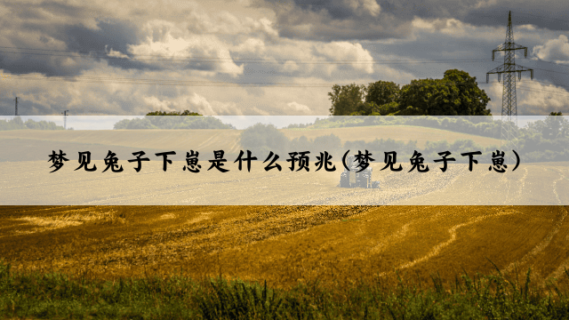 梦见兔子下崽是什么预兆(梦见兔子下崽)