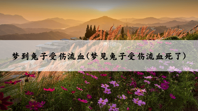 梦到兔子受伤流血(梦见兔子受伤流血死了)