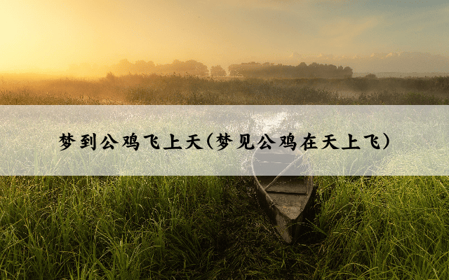 梦到公鸡飞上天(梦见公鸡在天上飞)