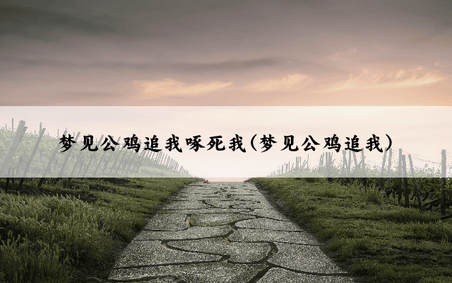 梦见公鸡追我啄死我(梦见公鸡追我)