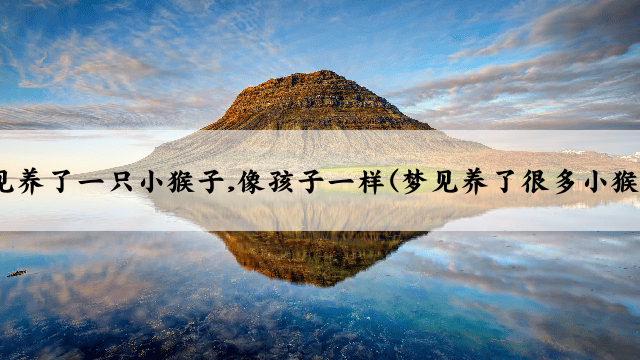 梦见养了一只小猴子,像孩子一样(梦见养了很多小猴子)