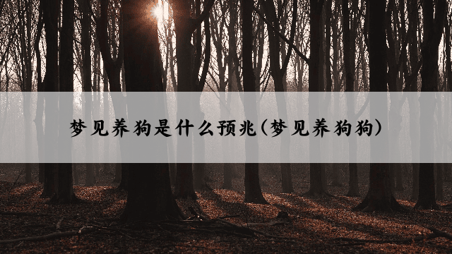 梦见养狗是什么预兆(梦见养狗狗)