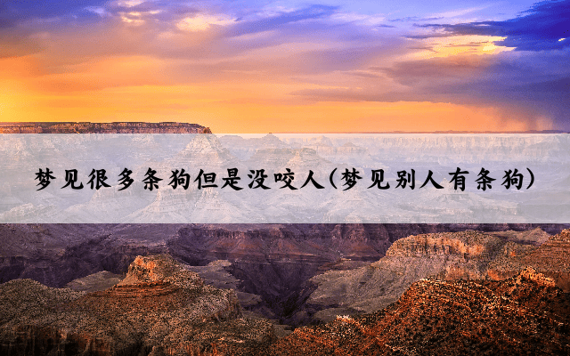 梦见很多条狗但是没咬人(梦见别人有条狗)