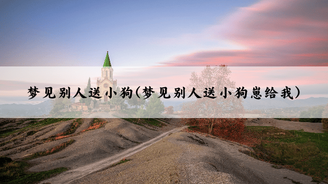 梦见别人送小狗(梦见别人送小狗崽给我)
