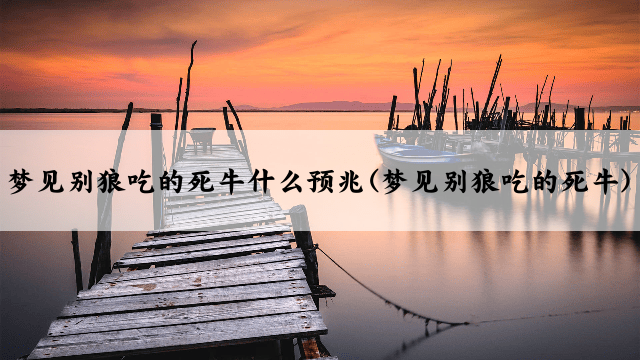 梦见别狼吃的死牛什么预兆(梦见别狼吃的死牛)