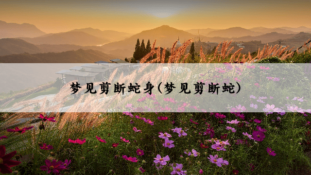 梦见剪断蛇身(梦见剪断蛇)