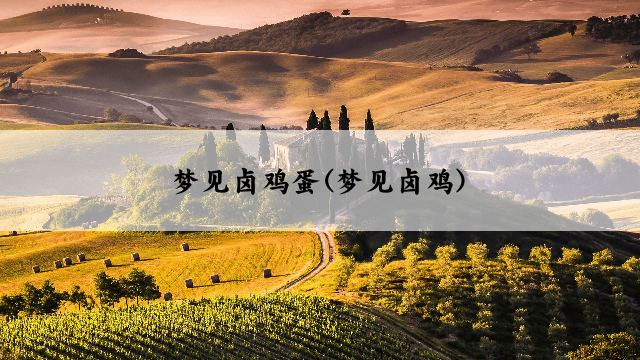 梦见卤鸡蛋(梦见卤鸡)