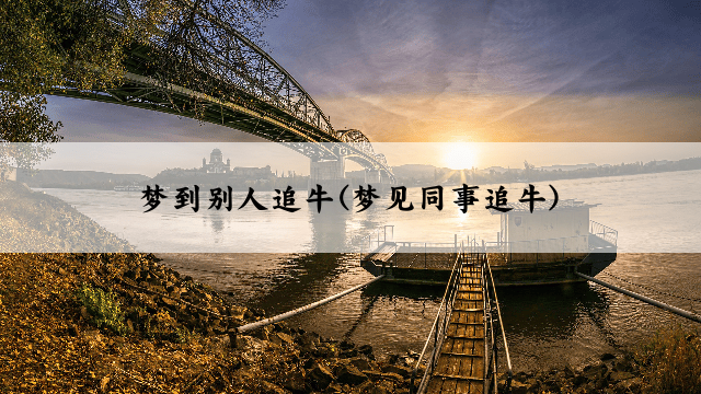 梦到别人追牛(梦见同事追牛)