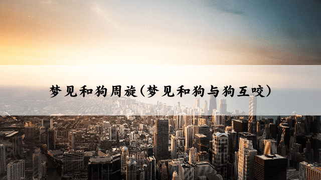 梦见和狗周旋(梦见和狗与狗互咬)