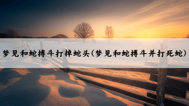 梦见和蛇搏斗打掉蛇头(梦见和蛇搏斗并打死蛇)