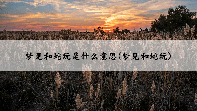 梦见和蛇玩是什么意思(梦见和蛇玩)