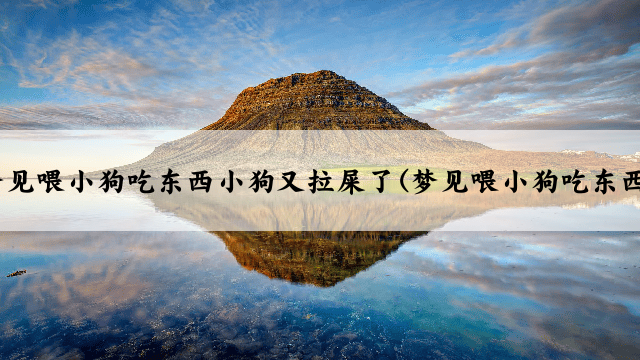 梦见喂小狗吃东西小狗又拉屎了(梦见喂小狗吃东西)