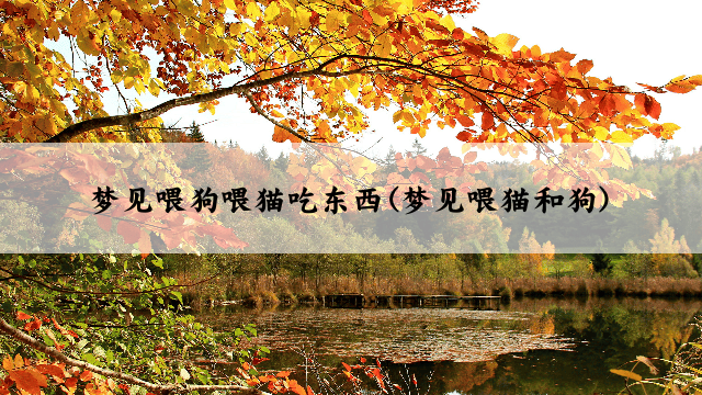 梦见喂狗喂猫吃东西(梦见喂猫和狗)
