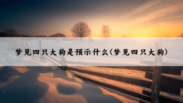 梦见四只大狗是预示什么(梦见四只大狗)