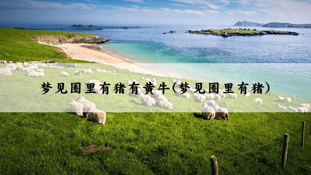 梦见圈里有猪有黄牛(梦见圈里有猪)