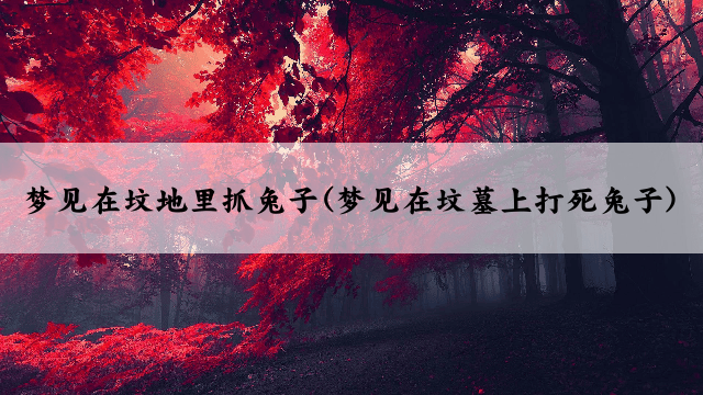 梦见在坟地里抓兔子(梦见在坟墓上打死兔子)
