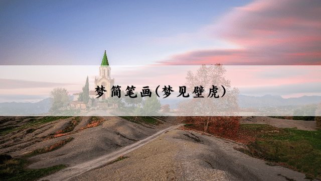 梦简笔画(梦见壁虎)