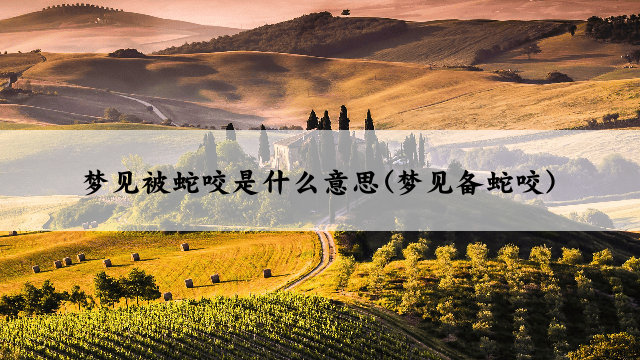 梦见被蛇咬是什么意思(梦见备蛇咬)