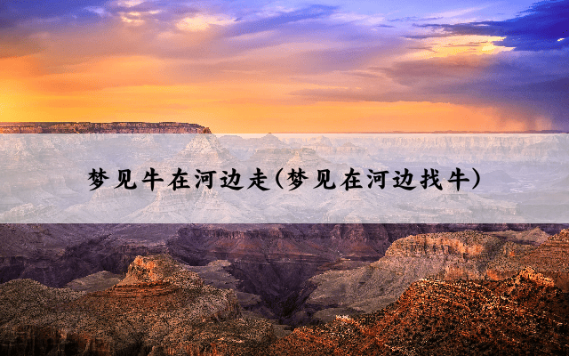 梦见牛在河边走(梦见在河边找牛)
