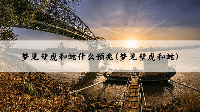 梦见壁虎和蛇什么预兆(梦见壁虎和蛇)