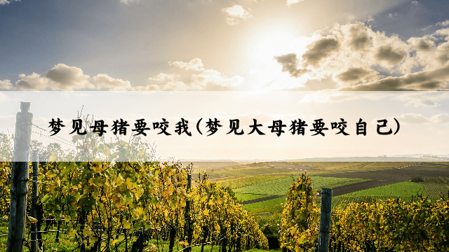 梦见母猪要咬我(梦见大母猪要咬自己)