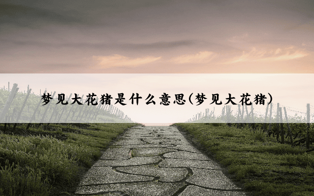 梦见大花猪是什么意思(梦见大花猪)