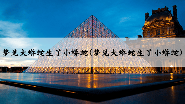 梦见大蟒蛇生了小蟒蛇(梦见大蟒蛇生了小蟒蛇)