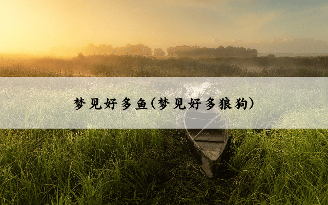梦见好多鱼(梦见好多狼狗)