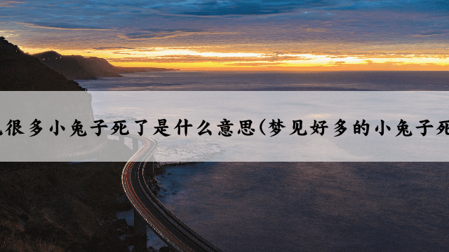梦见很多小兔子死了是什么意思(梦见好多的小兔子死了)