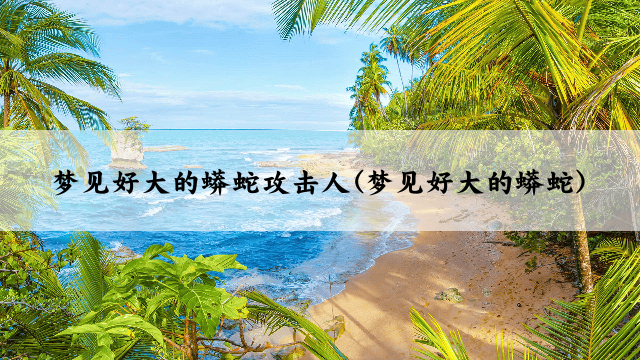 梦见好大的蟒蛇攻击人(梦见好大的蟒蛇)