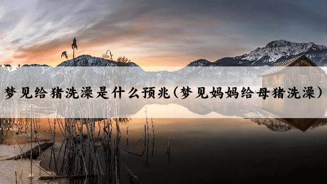 梦见给猪洗澡是什么预兆(梦见妈妈给母猪洗澡)