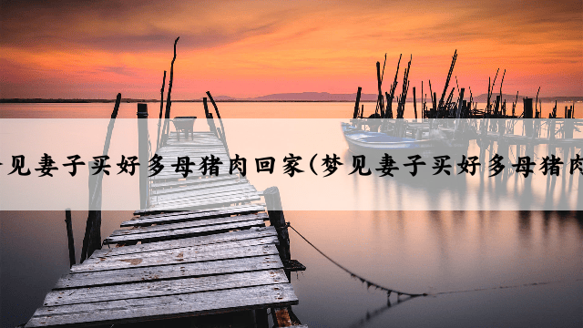梦见妻子买好多母猪肉回家(梦见妻子买好多母猪肉)